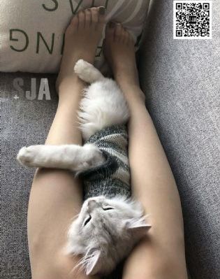 少女免费观看第6集视频